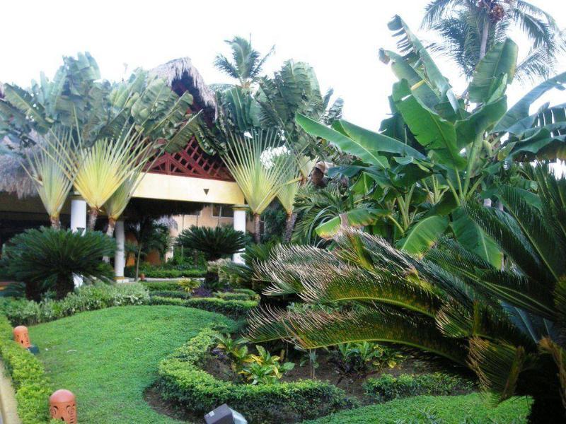 Vik Hotel Cayena Beach All Inclusive Punta Cana Exterior foto